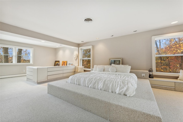 20 Rolling Ridge Rd, New City, NY 10956 - bedroom with baseboard heating, carpet floors, multiple windows, and recessed lighting