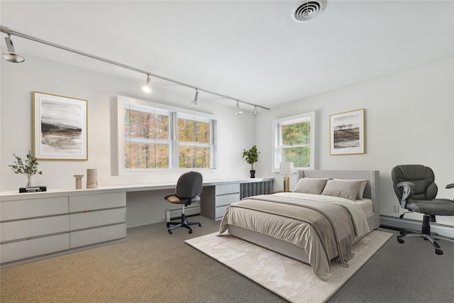 20 Rolling Ridge Rd, New City, NY 10956 - bedroom with rail lighting, light carpet, and a baseboard radiator
