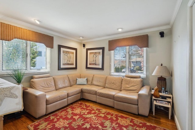 living area featuring ornamental molding and wood finished floors