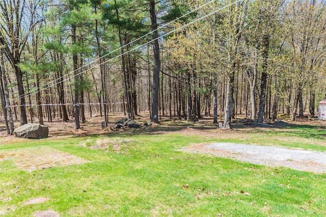 252 Southwoods Dr, Monticello, NY 12701 - view of yard featuring a view of trees