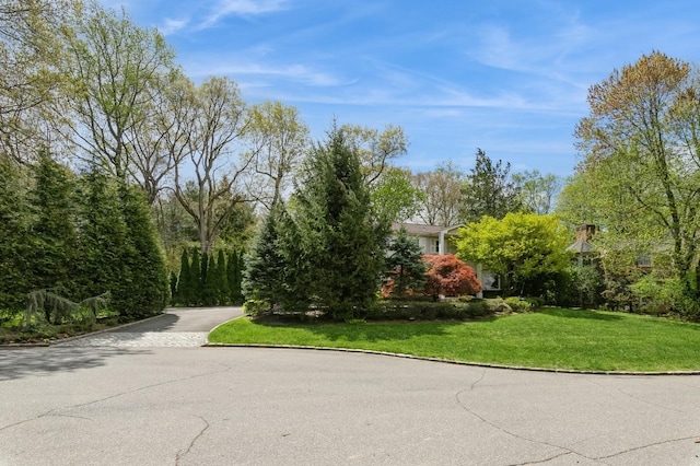 165 Tara Dr, Roslyn, NY 11576 - view of asphalt road featuring curbs