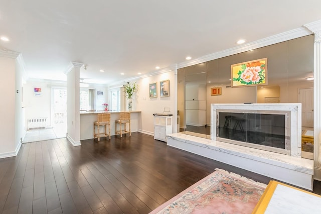 165 Tara Dr, Roslyn, NY 11576 - living area with radiator, ornamental molding, ornate columns, baseboards, and dark wood-style floors