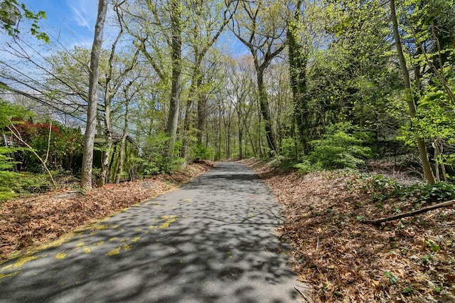 165 Tara Dr, Roslyn, NY 11576 - view of street