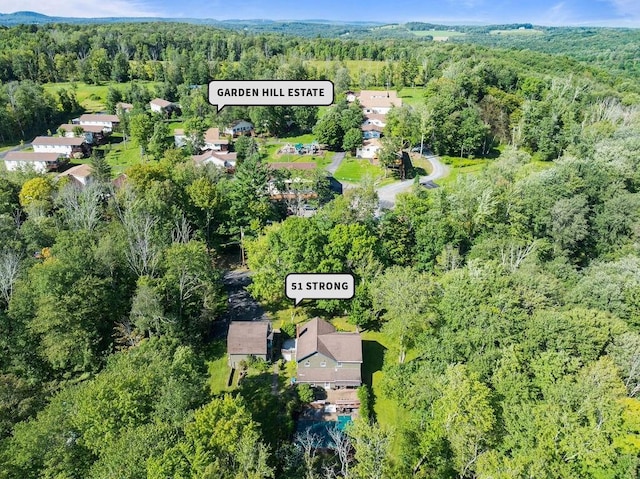51 Strong Rd, Ferndale, NY 12734 - bird's eye view with a view of trees