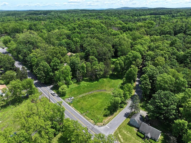 2971 State Route 209, Kingston, NY 12401 - photo 8