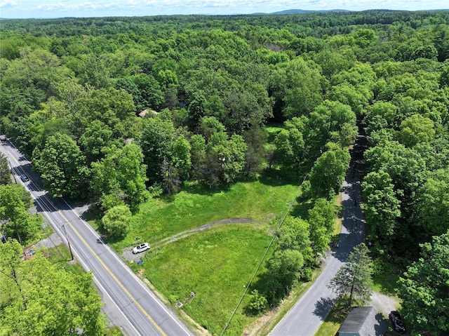 2971 State Route 209, Kingston, NY 12401 - photo 9