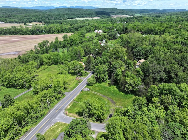 2971 State Route 209, Kingston, NY 12401 - photo 12