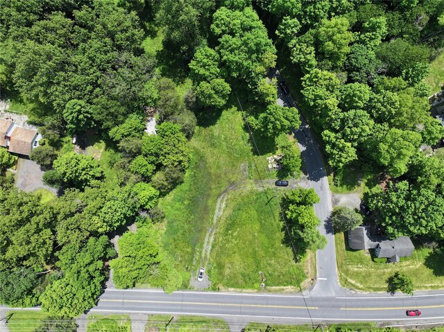 2971 State Route 209, Kingston, NY 12401 - photo 15