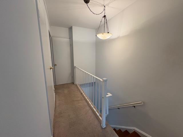 staircase with carpet