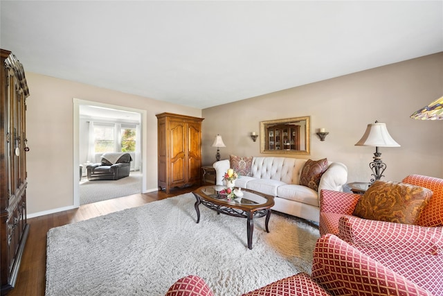 living room featuring baseboards and wood finished floors