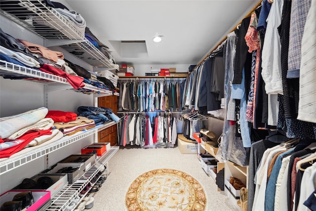 walk in closet featuring carpet floors