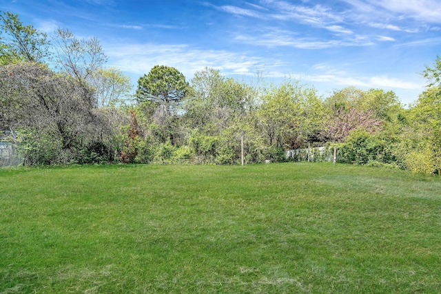 view of grassy yard