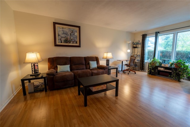 living room featuring baseboards and wood finished floors