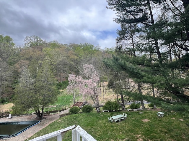 view of yard featuring a wooded view