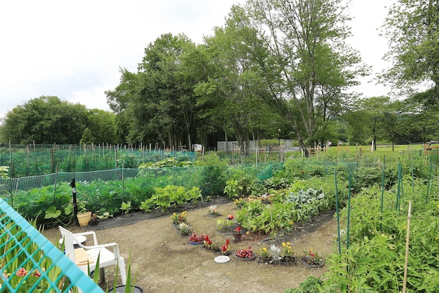 view of yard with fence and a vegetable garden