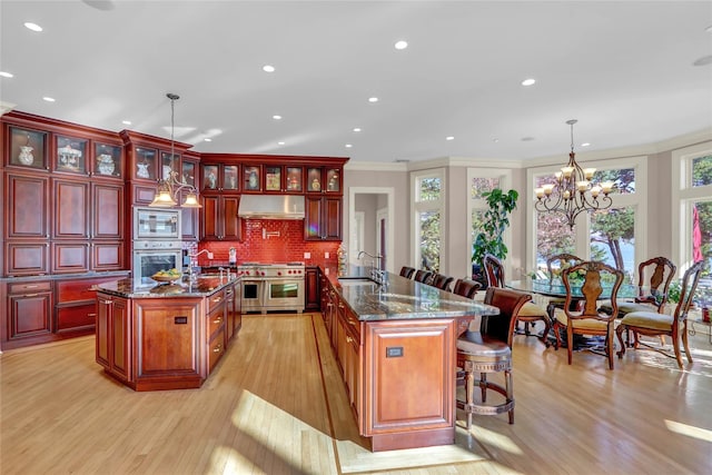 kitchen with under cabinet range hood, stainless steel appliances, an island with sink, and a sink