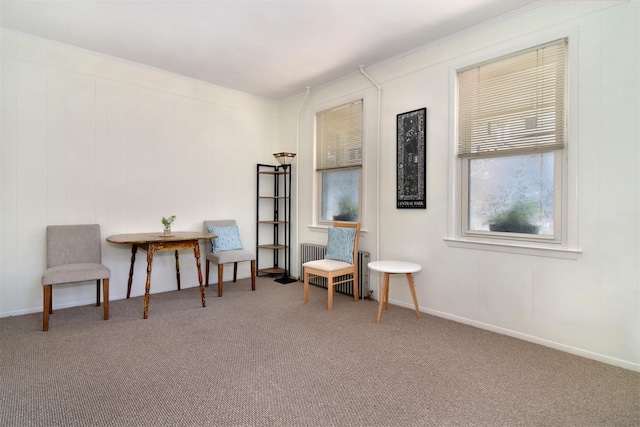26 S Eckar St, Irvington, NY 10533 - sitting room with carpet and ornamental molding