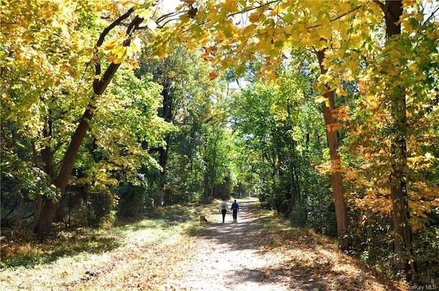26 S Eckar St, Irvington, NY 10533 - view of street with a forest view