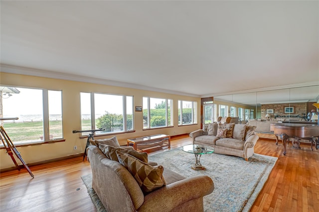 living area featuring baseboards, ornamental molding, and a wealth of natural light