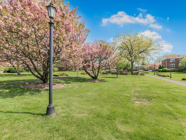 view of home's community featuring a yard