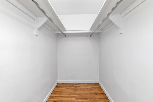 spacious closet featuring wood finished floors