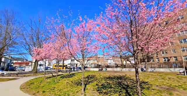 view of home's community with a residential view