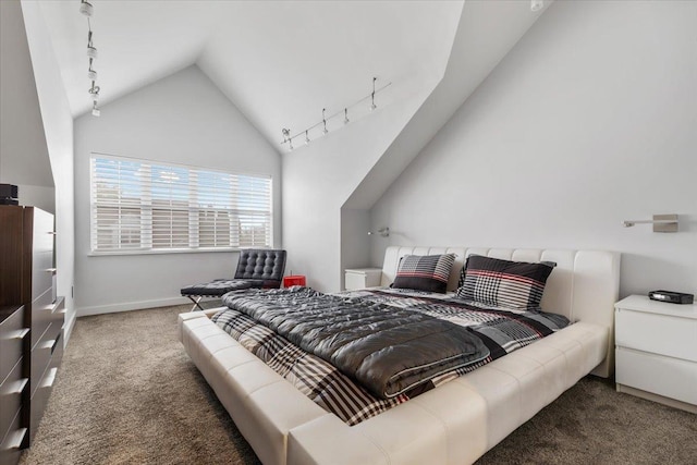 bedroom featuring carpet floors, baseboards, track lighting, and lofted ceiling