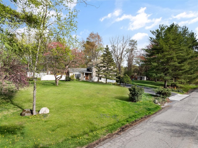 23 Kathleen Ln, Mount Kisco, NY 10549 - photo 11