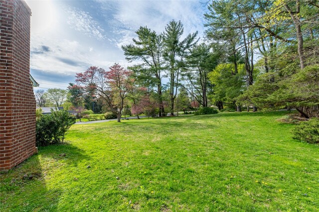 23 Kathleen Ln, Mount Kisco, NY 10549 - photo 41