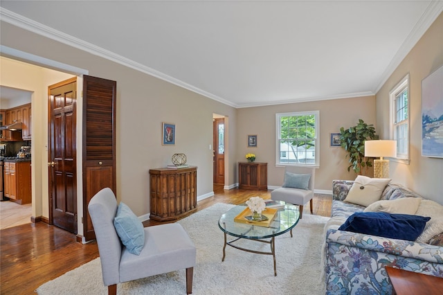 23 Hilldale Rd, Dobbs Ferry, NY 10522 - living area featuring ornamental molding, wood finished floors, and baseboards