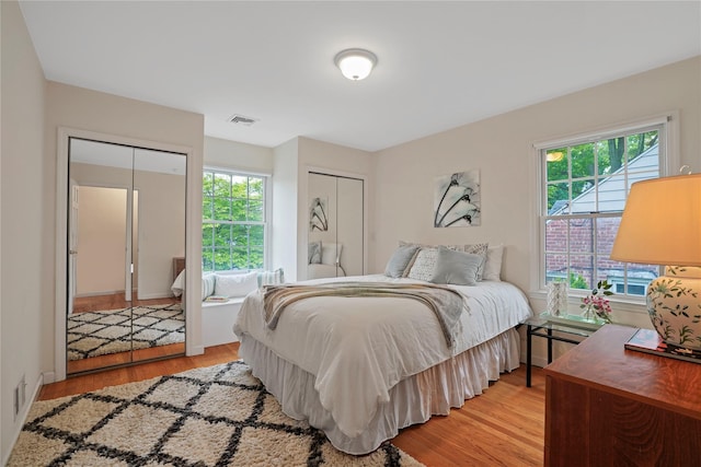 23 Hilldale Rd, Dobbs Ferry, NY 10522 - bedroom with multiple closets, light wood finished floors, and multiple windows