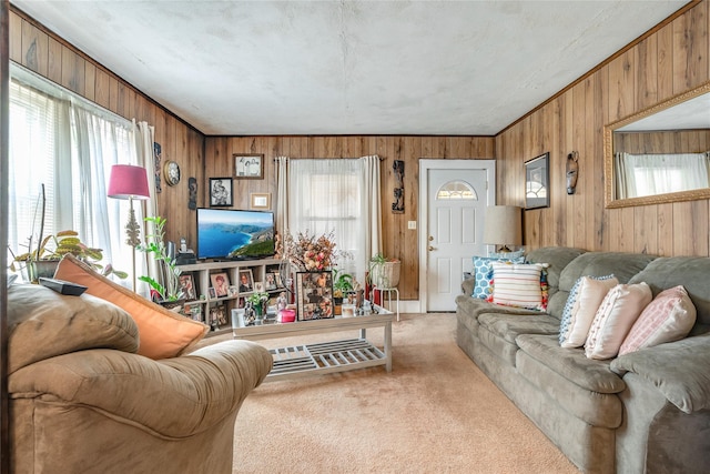 living area with wood walls, light carpet, and a wealth of natural light