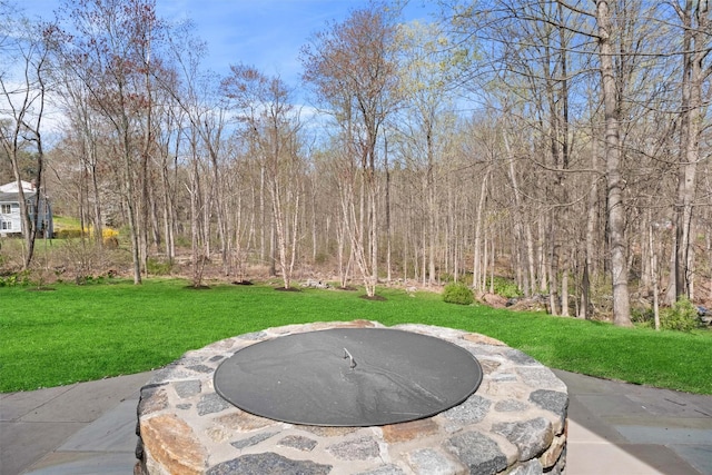 8 Richard Somers Rd, Granite Springs, NY 10527 - view of patio