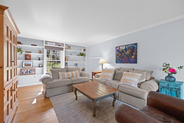 8 Richard Somers Rd, Granite Springs, NY 10527 - living area featuring ornamental molding, light wood-style flooring, and built in features