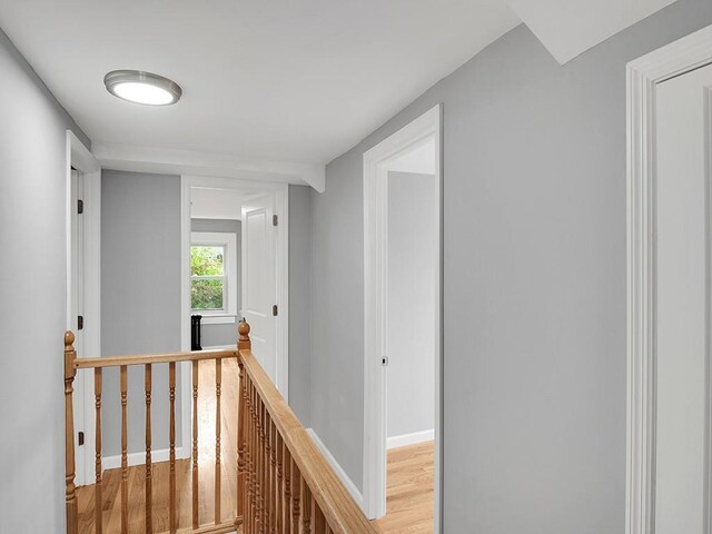 29 Harwich St, Kingston, NY 12401 - photo 22