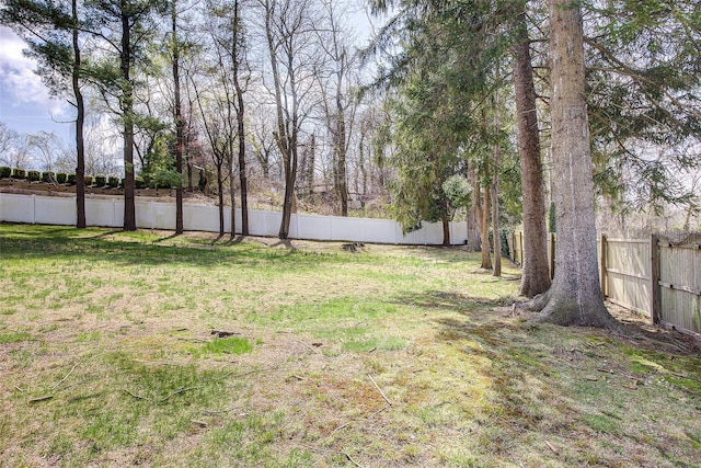 view of yard with a fenced backyard