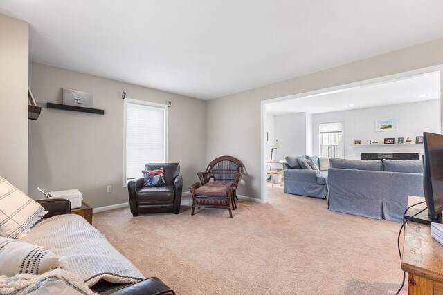 living area featuring baseboards and carpet