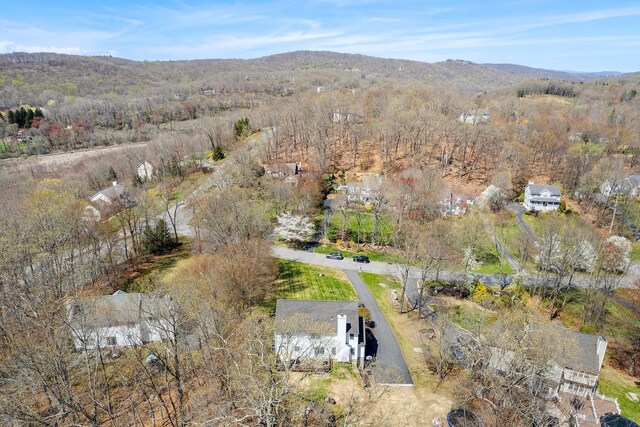 birds eye view of property featuring a mountain view
