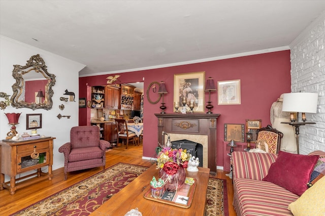 living room featuring crown molding, wood finished floors, and a fireplace