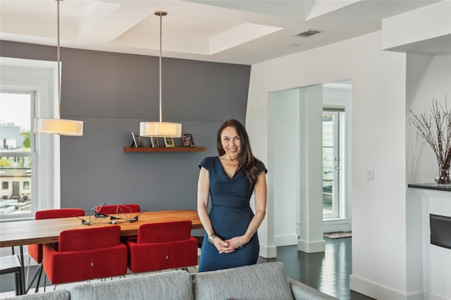 dining area with plenty of natural light, baseboards, wood finished floors, and visible vents