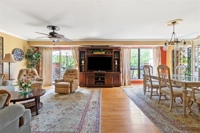 living area featuring crown molding, ceiling fan, a healthy amount of sunlight, and light wood-type flooring