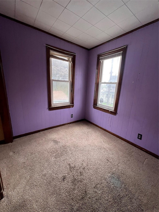 57 Prince St, Middletown, NY 10940 - carpeted spare room with baseboards and ornamental molding