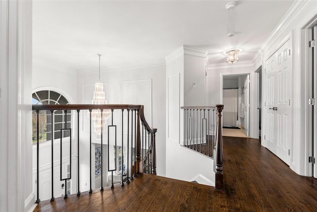 71 Thistle Ln, Hopewell Junction, NY 12533 - corridor featuring an upstairs landing, a chandelier, wood finished floors, and ornamental molding