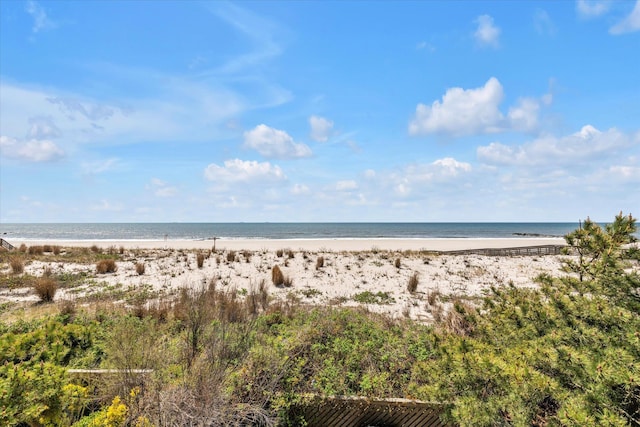 view of water feature featuring a beach view