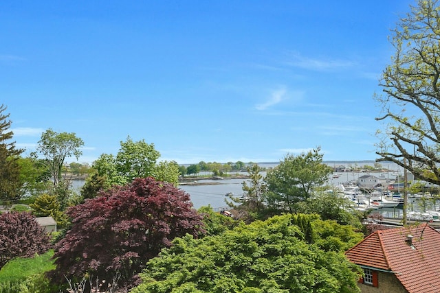water view