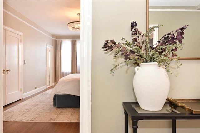8 Barstow Rd Unit 6-D, Great Neck, NY 11021 - bedroom with baseboards and wood finished floors