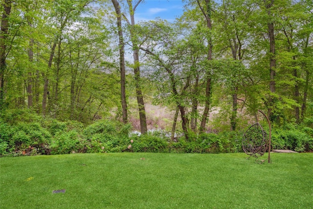 80 Valentines Ln, Old Brookville, NY 11545 - view of green lawn