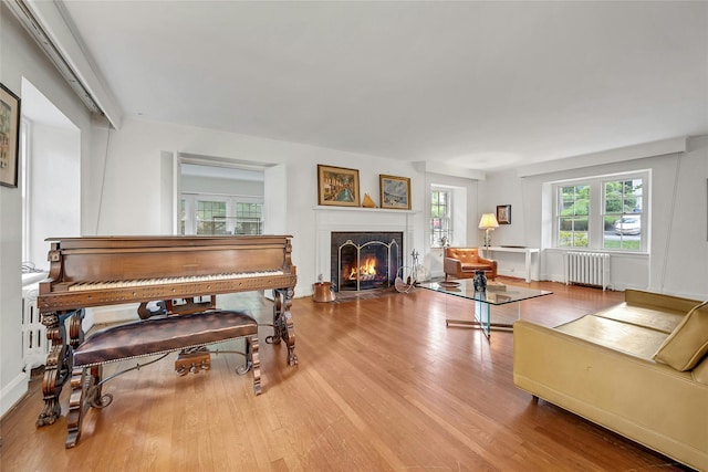 19 Mountain Ave, Larchmont, NY 10538 - photo 7