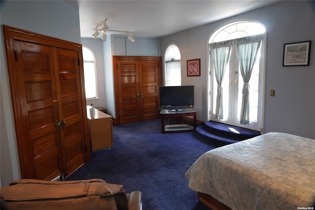 3 Beech Court Cir, College Point, NY 11356 - bedroom with dark colored carpet, track lighting, access to outside, and multiple windows
