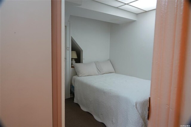 3 Beech Court Cir, College Point, NY 11356 - view of carpeted bedroom